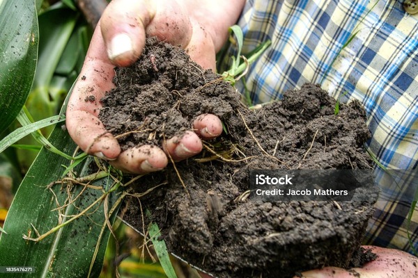 Regenerative Agriculture Restoring Soil Health and Boosting Sustainable Farming (1)